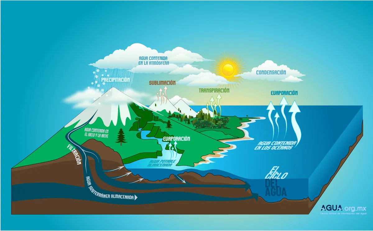 Microlearning: Esquemas, gráficos o diagramas Ciclo del agua