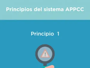 Microcurso - Alimentos de mayor riesgo y APPCC