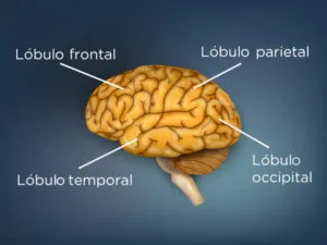 Descobrint què és la demència