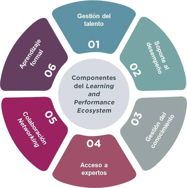 Cachitos, Bocaditos, y Microlearning. Cachitos, Bocaditos, y Microlearning.