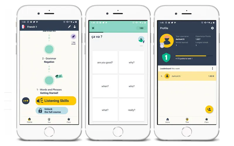 Microlearning - Memrise Microlearning - Memrise