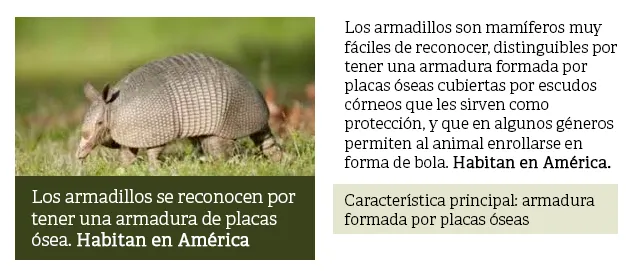 Principio de redundancia
