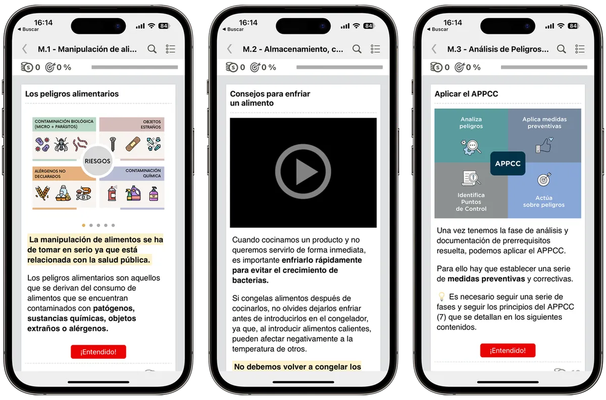 Emmagatzematge, conservació i tractament