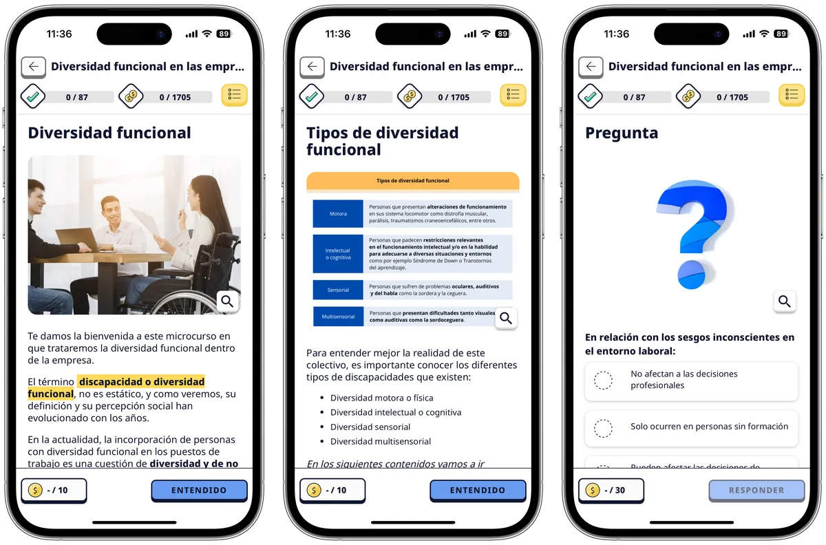 Diversitat funcional a les empreses