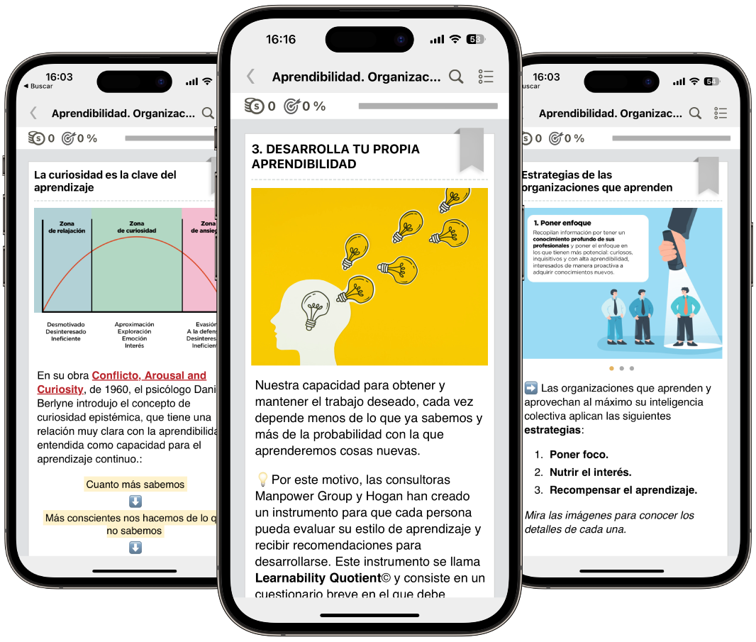 Aprendibilidad: Organización y gestión del aprendizaje propio