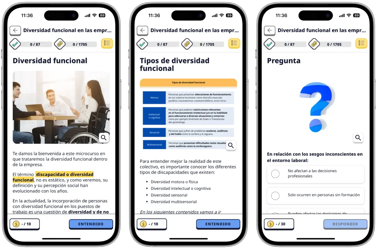Microcurs: Diversitat funcional en les empreses 2 Diversitat funcional en les empreses