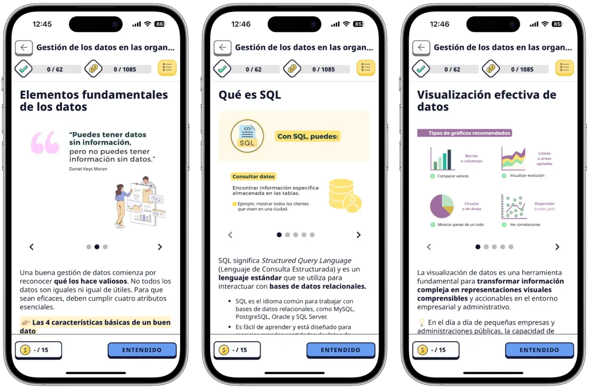 Gestión de datos en las organizaciones Gestión de datos en las organizaciones
